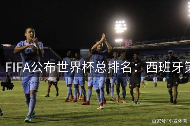 FIFA公布世界杯总排名：西班牙第1，巴西第11，荷兰、德国第17、18